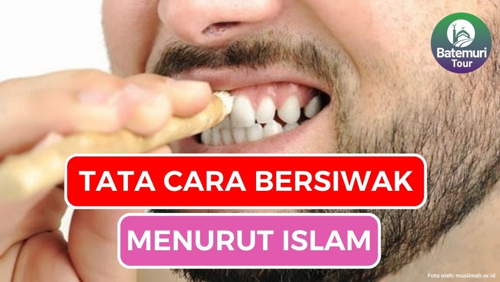 Apa Itu Siwak? Berikut adalah Tata Cara Bersiwak Menurut Islam